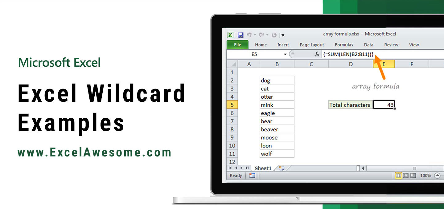 Excel Wildcard Examples