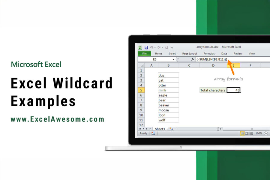 Excel Wildcard Examples